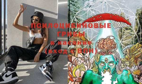 MESCALINE Баксан