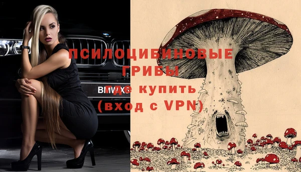 MESCALINE Баксан