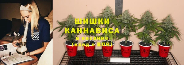 ГАЛЛЮЦИНОГЕННЫЕ ГРИБЫ Балахна