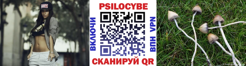 Псилоцибиновые грибы GOLDEN TEACHER Вуктыл